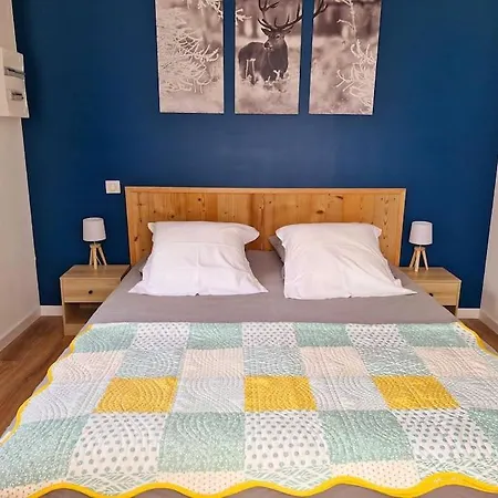 Magnifique Jonquille