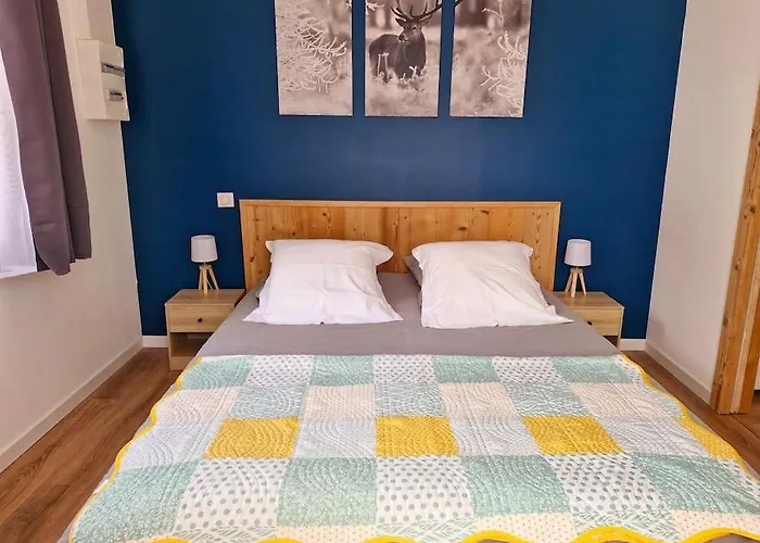 Magnifique Jonquille